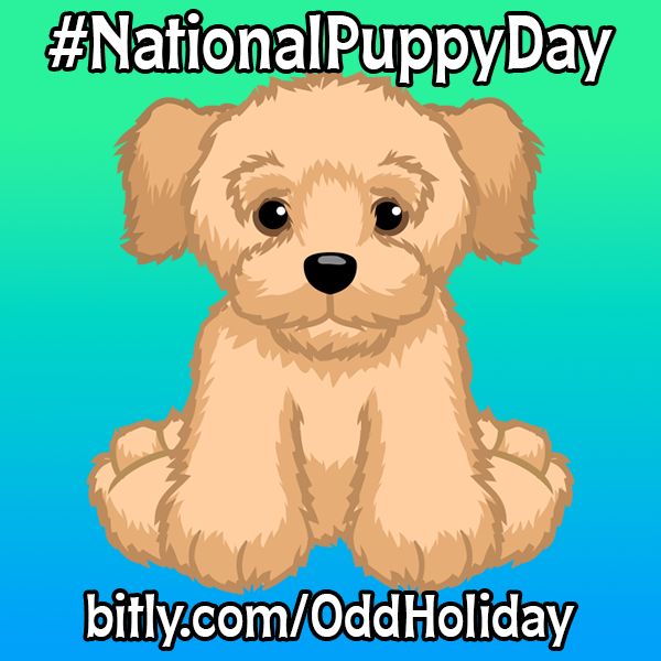 Ganz eStore tweet media