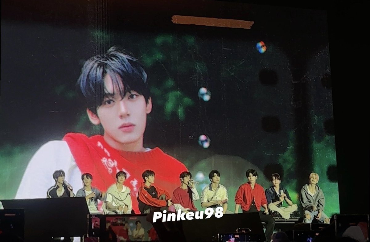 Mils 🐼🎻 tweet media