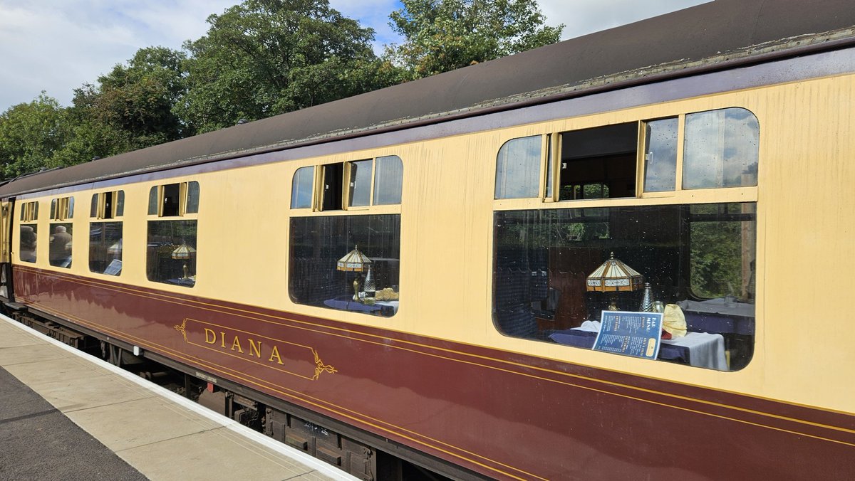 Swiss Piper Bears tweet media