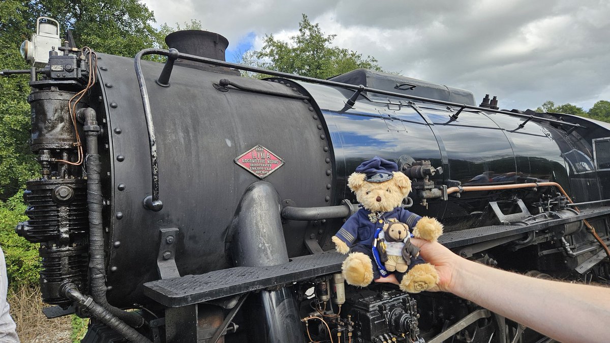 Swiss Piper Bears tweet media