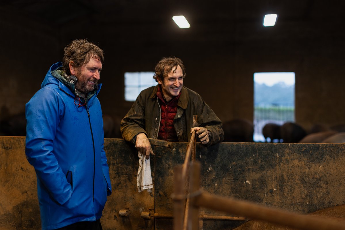 Movistar Plus+ tweet media