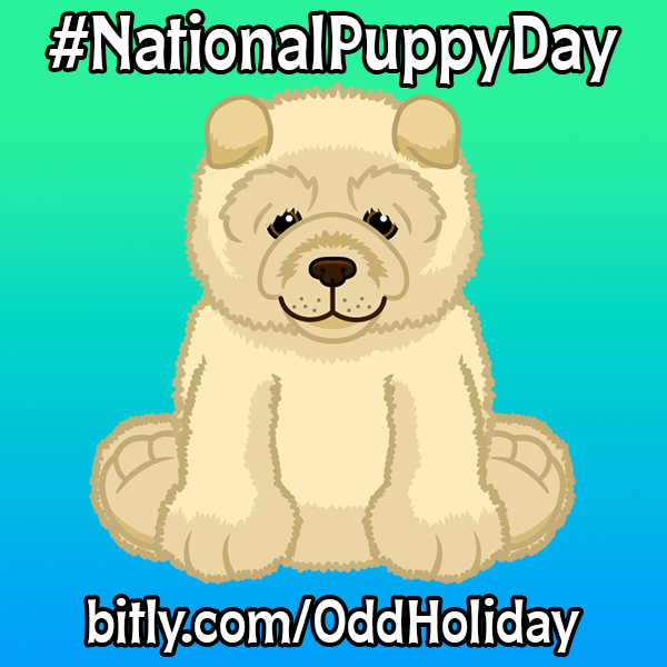 Ganz eStore tweet media