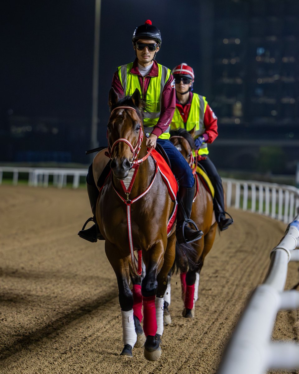 Dubai Racing Club tweet media