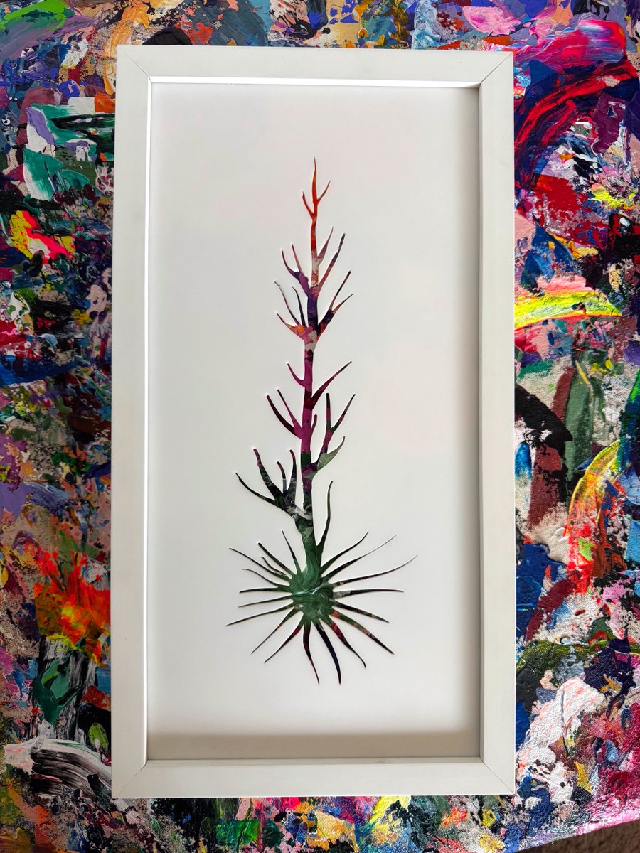 Michael Carini tweet media