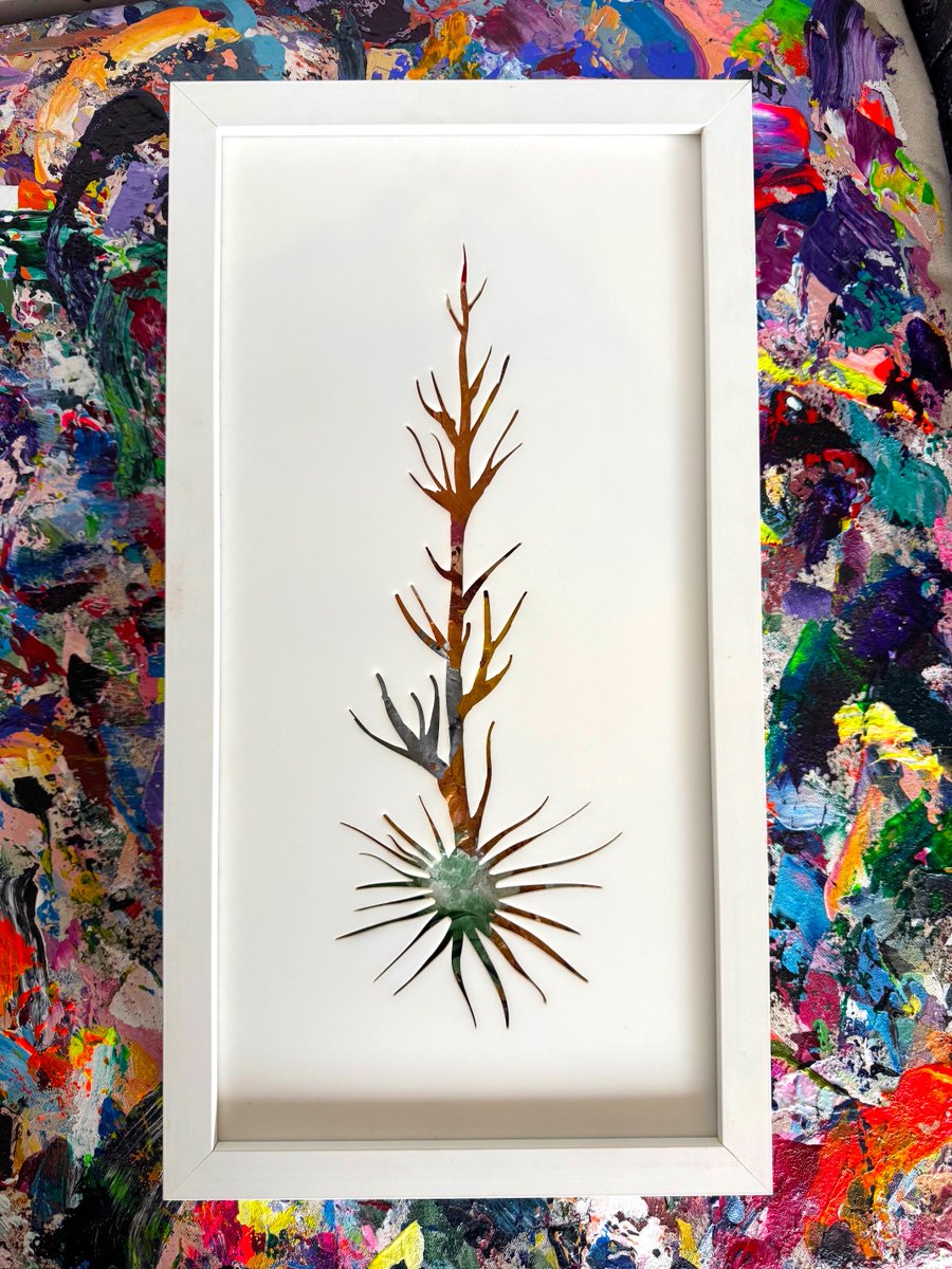 Michael Carini tweet media