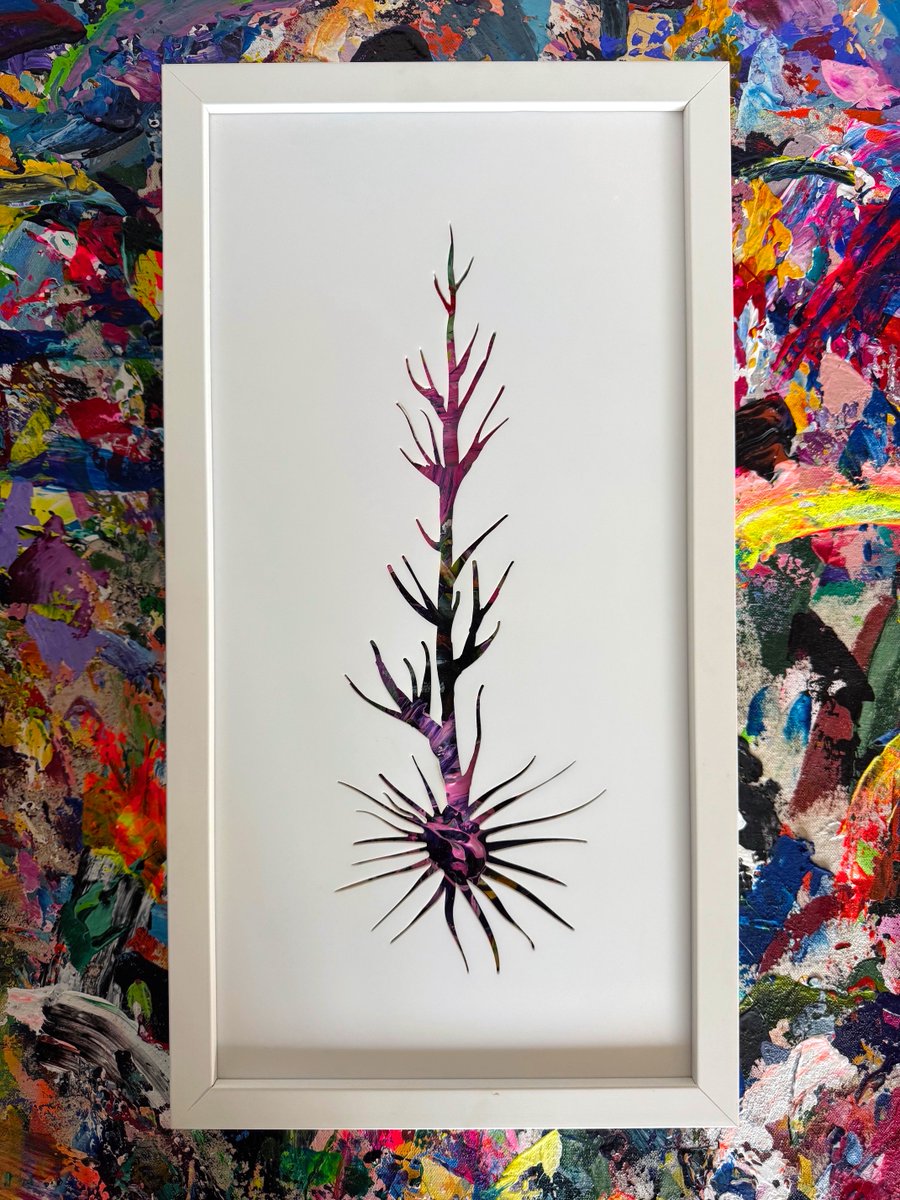 Michael Carini tweet media