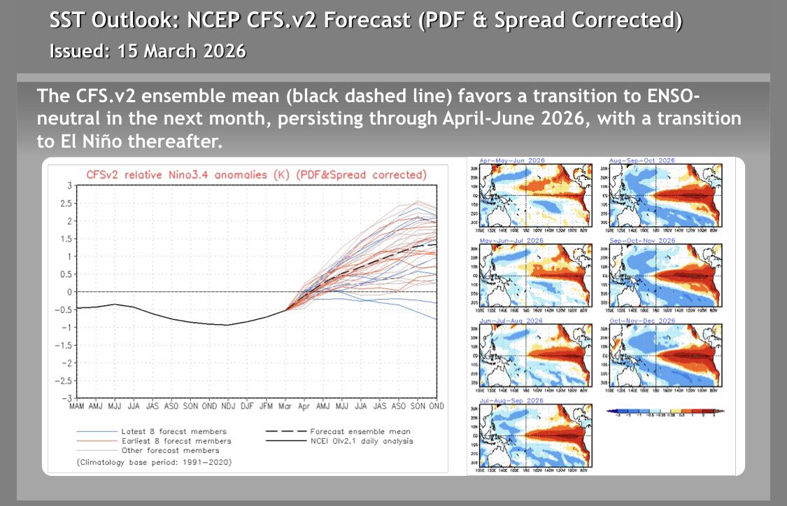 Thomas Reis tweet media
