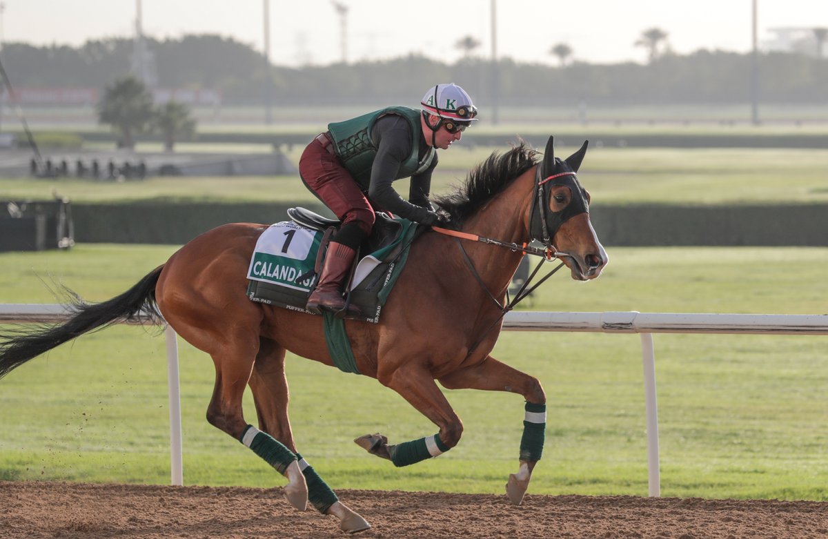 Dubai Racing Club tweet media