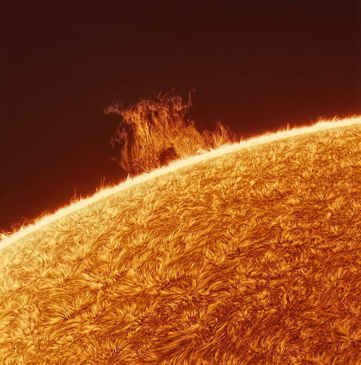 David Eicher tweet media