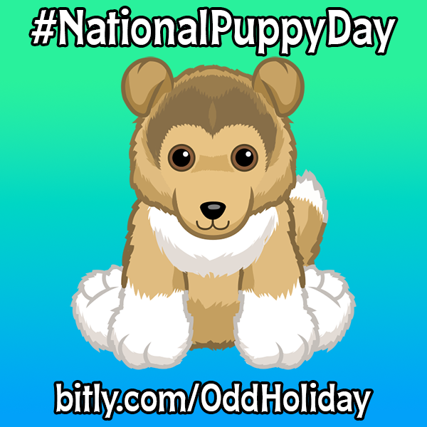 Ganz eStore tweet media