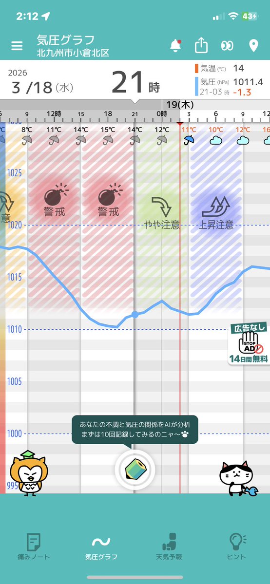 はるなぴちゃんさん🍵🎀 tweet media