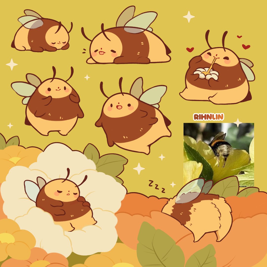 Rihnlin 🌱🪲🐸 tweet media