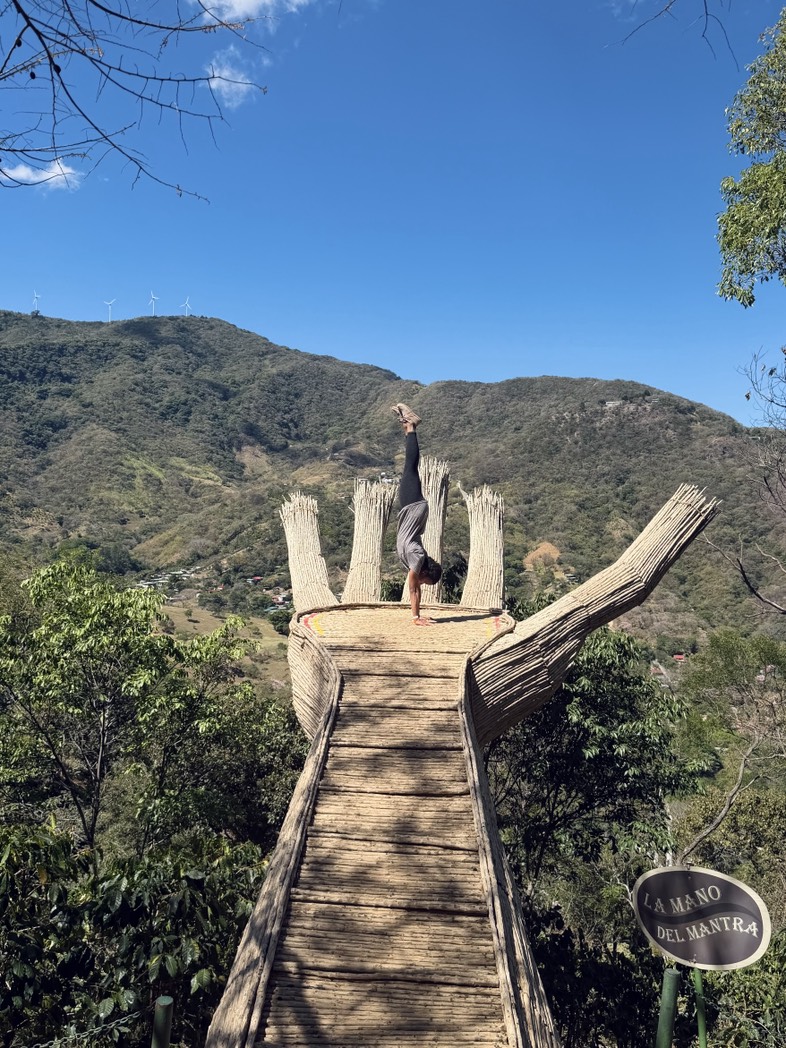 Olivia Trusty tweet media