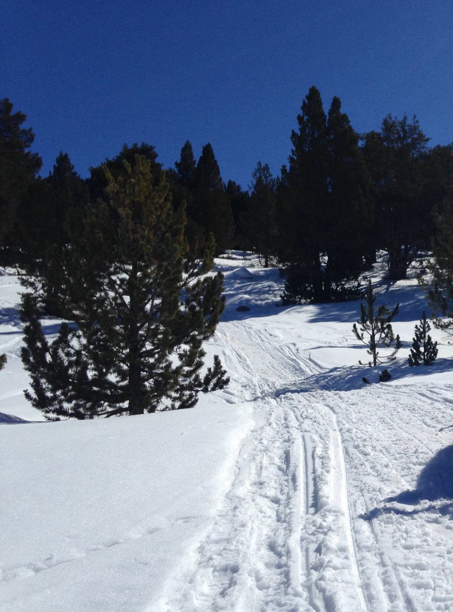 Ricard Riba Alcobé tweet media