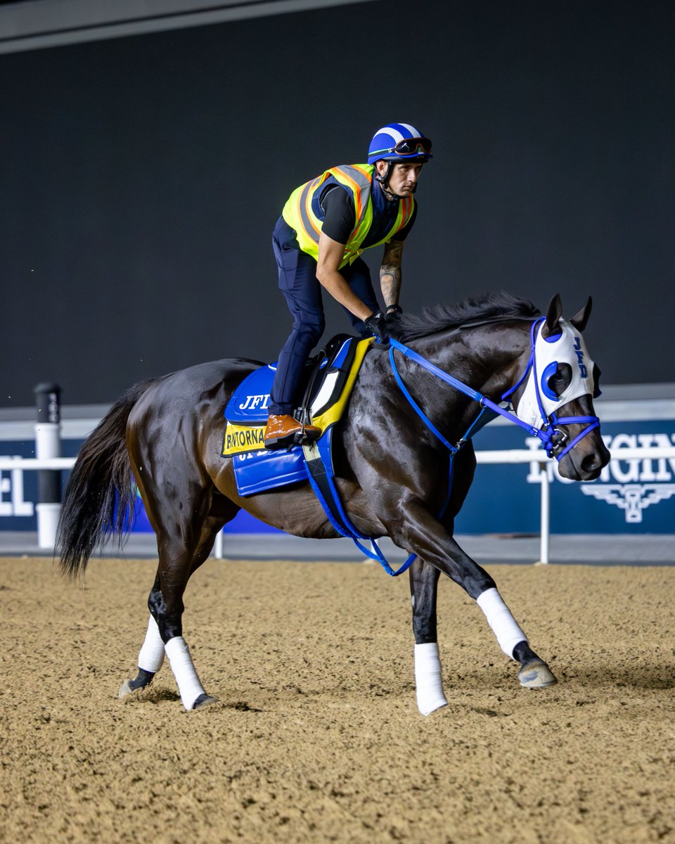 Dubai Racing Club tweet media