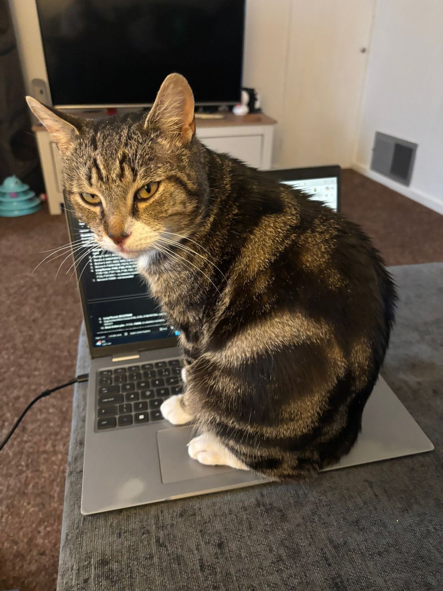 Thomas Manship tweet media