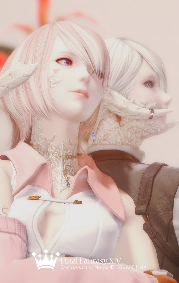 𝑀𝑎𝑦𝑢🐈 tweet media