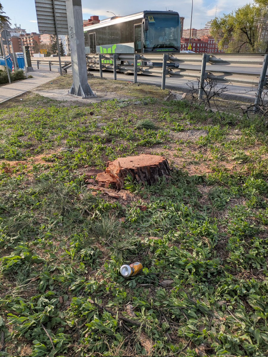 Esteban garpo tweet media