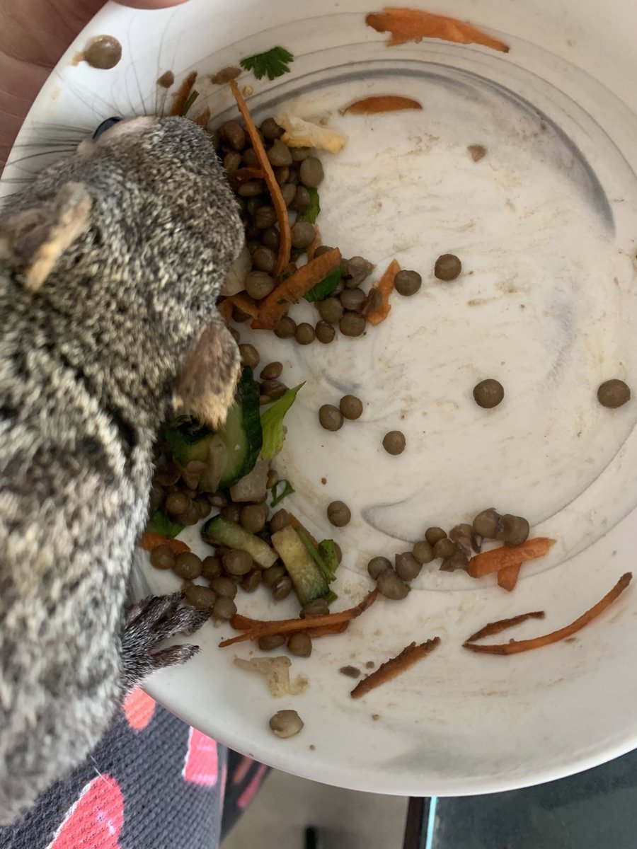 Dre 💙🧡*🥜 tweet media