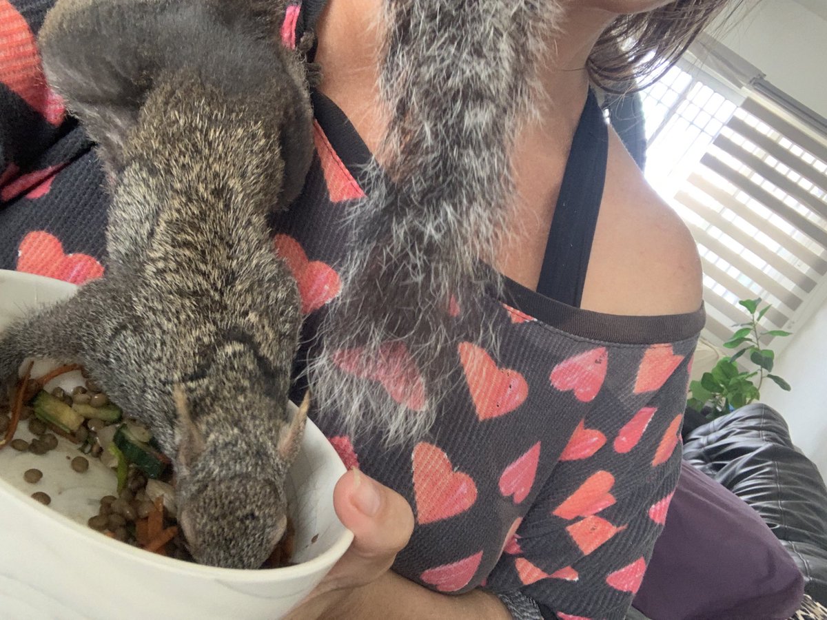 Dre 💙🧡*🥜 tweet media