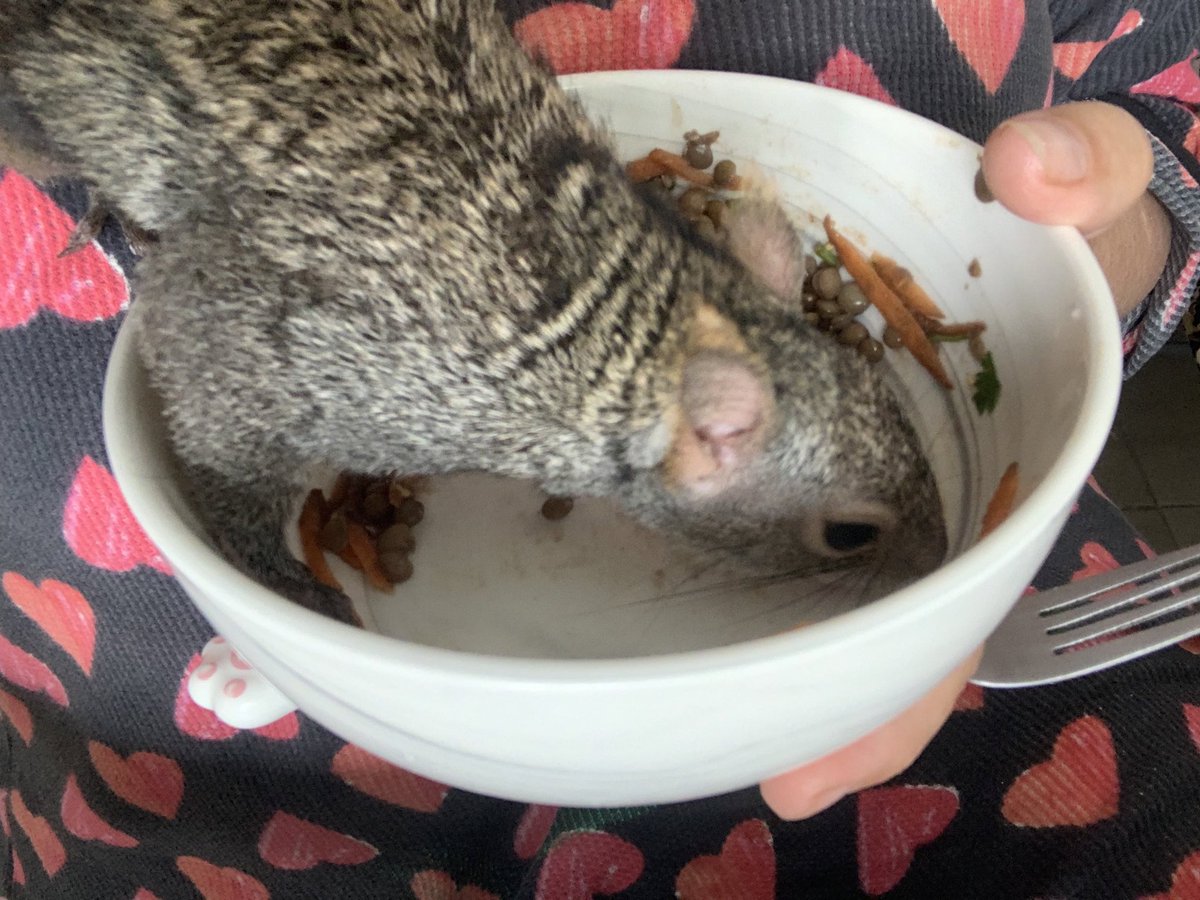 Dre 💙🧡*🥜 tweet media