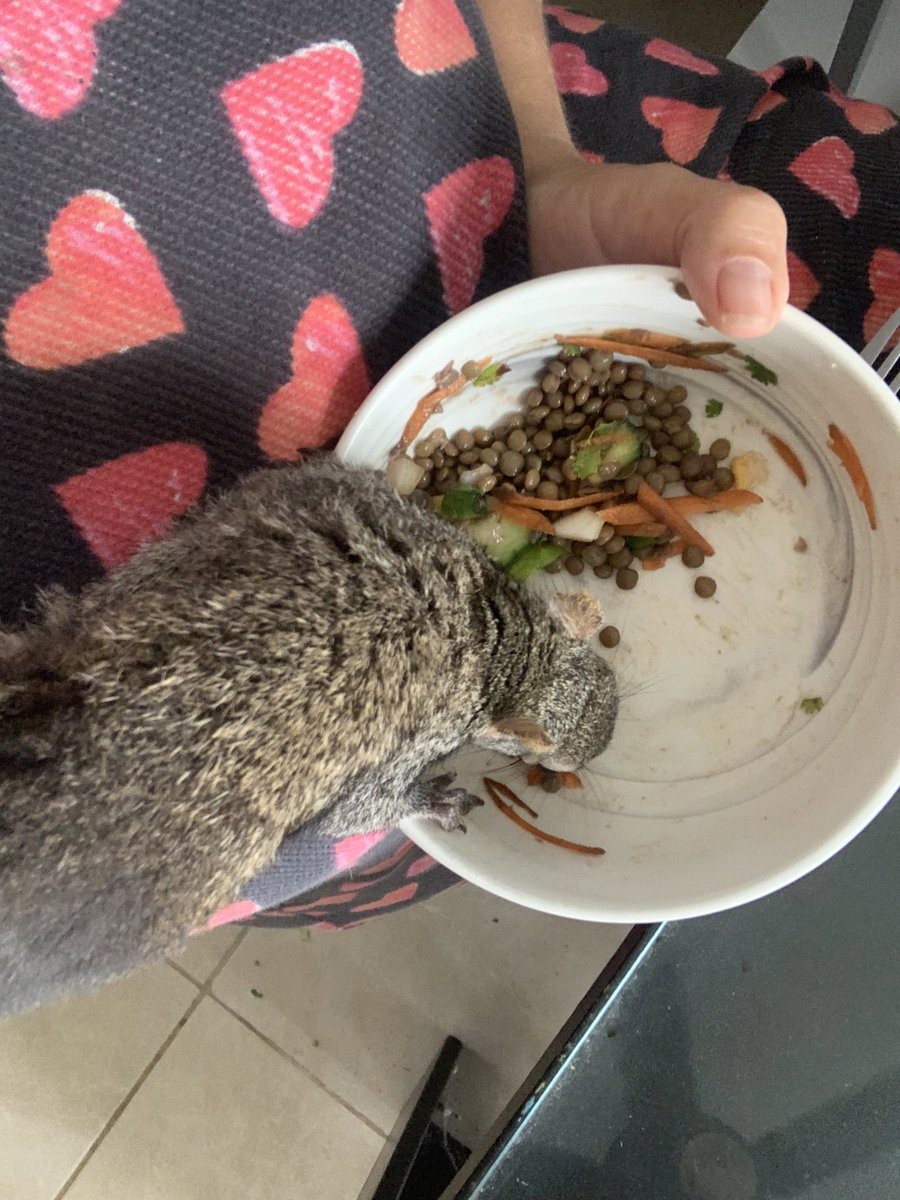 Dre 💙🧡*🥜 tweet media