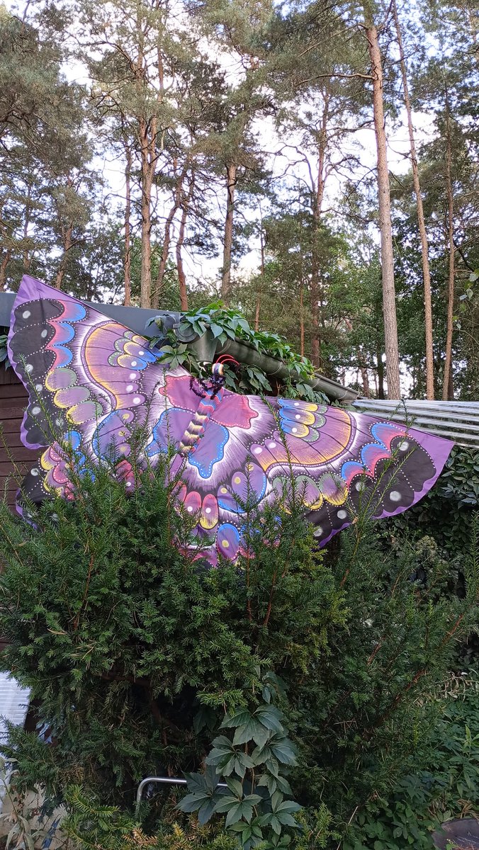 Doc. Dietmar Dohle #Thfbleibt #Feldliebe tweet media