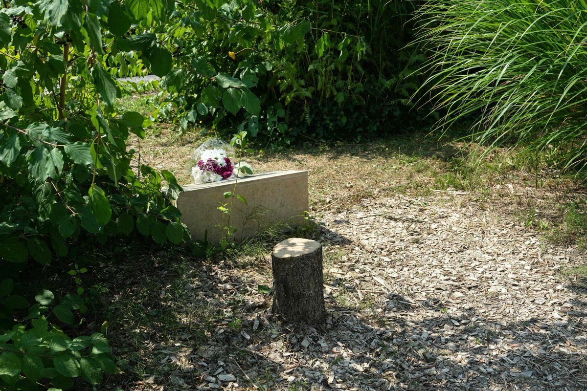 Le Parisien tweet media