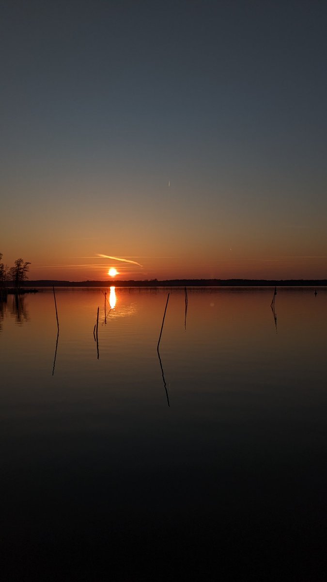 ausländer 💎 tweet media