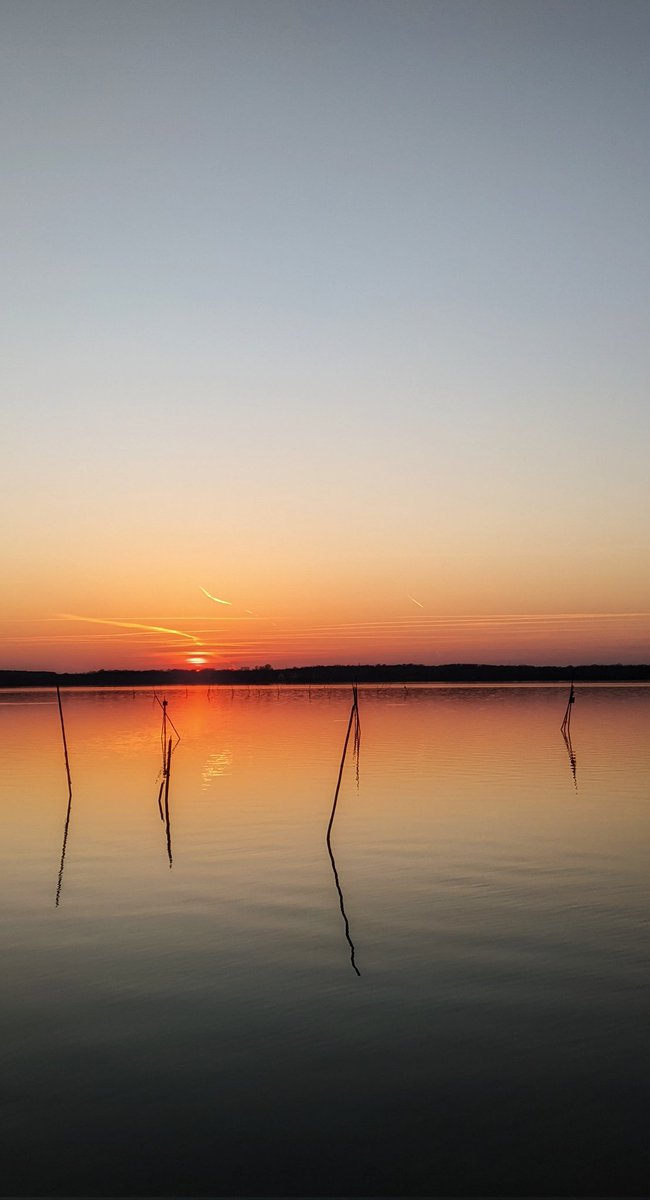ausländer 💎 tweet media