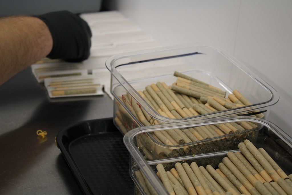 The Victoria Cannabis Company tweet media