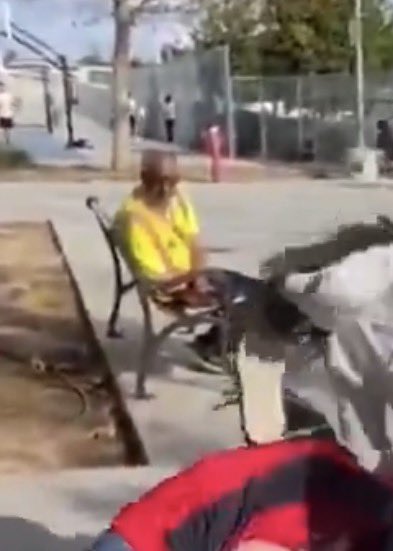 🦋 fairy 🧚‍♂️ tweet media