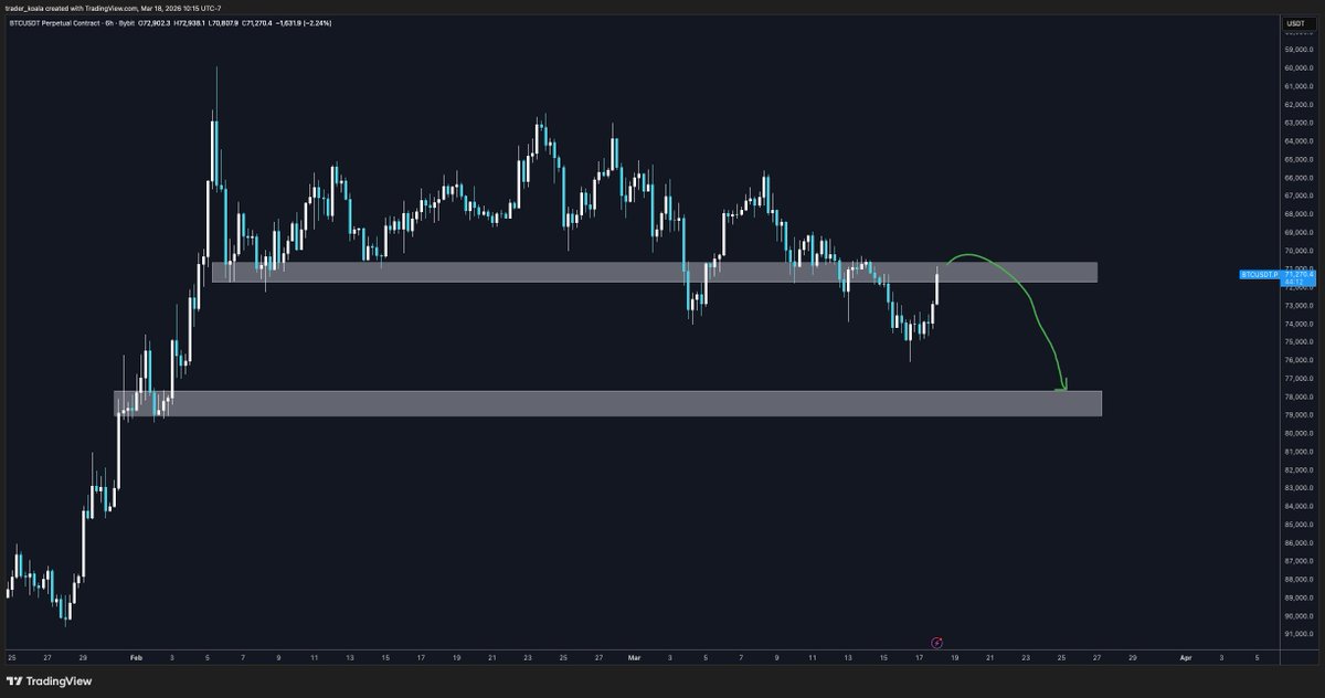 Trader Koala tweet media