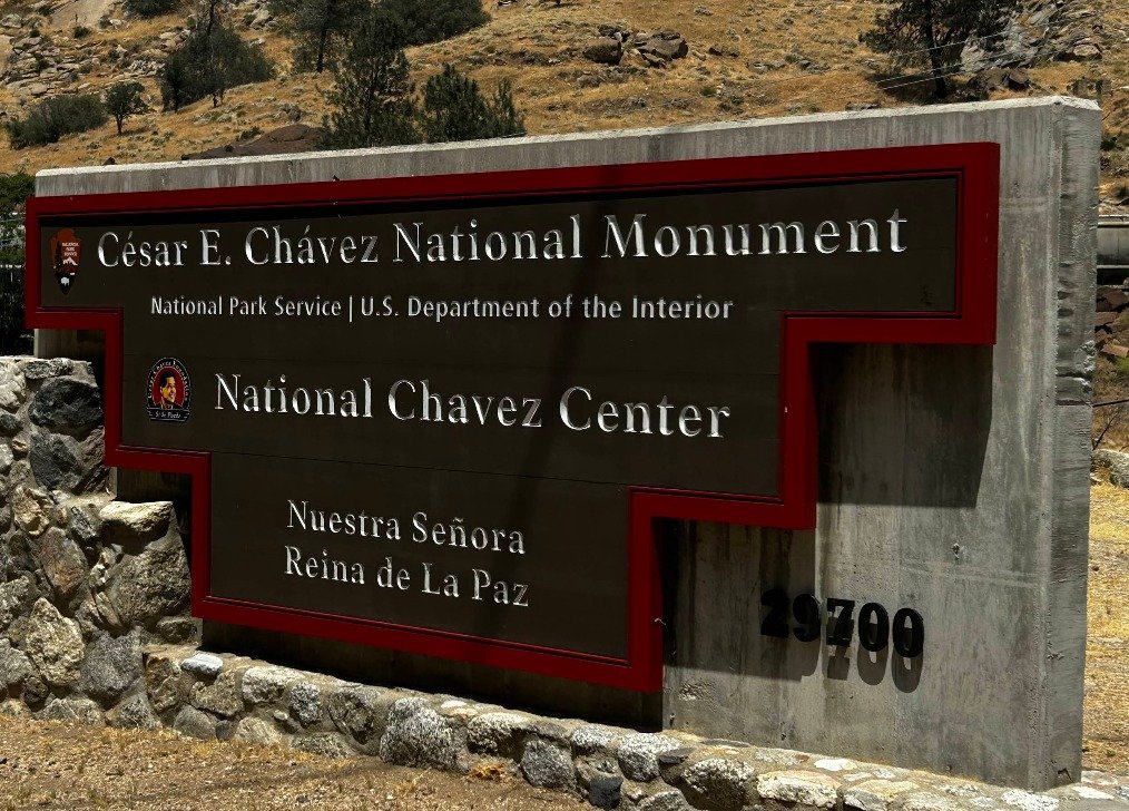 Theo Wold tweet media