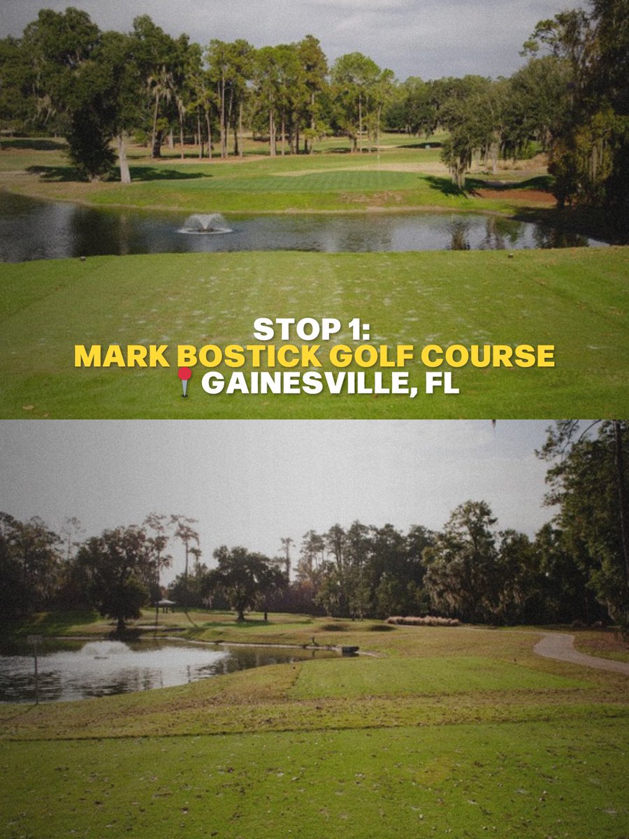 Thirty Ink tweet media