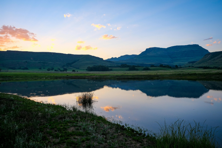 euromoney.com tweet media