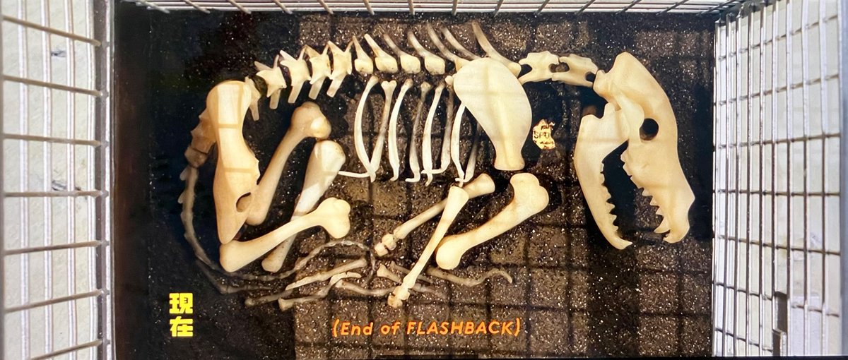 김길환 tweet media