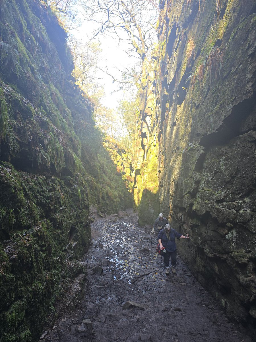 #WeDoGrass Ian tweet media