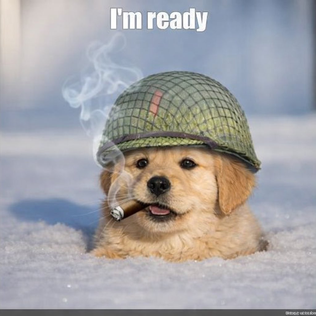 Dean Lykos tweet media