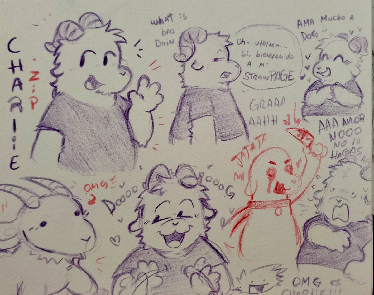 Dieg0ElBobo🌻 tweet media