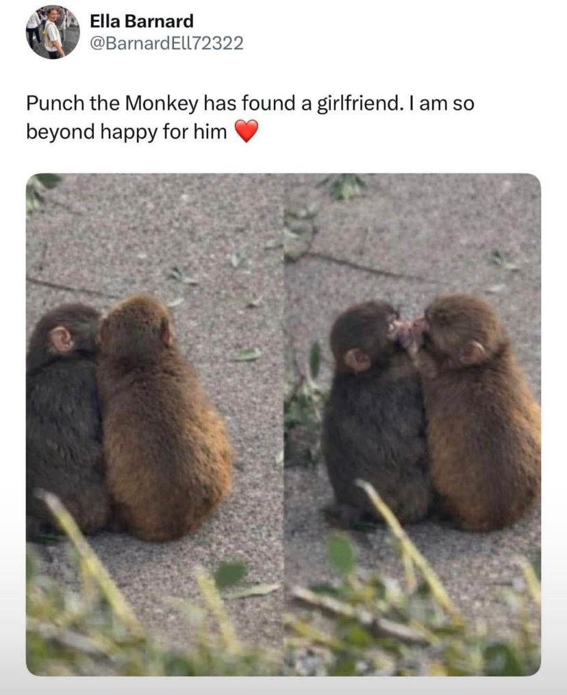 Jonathan Norris tweet media