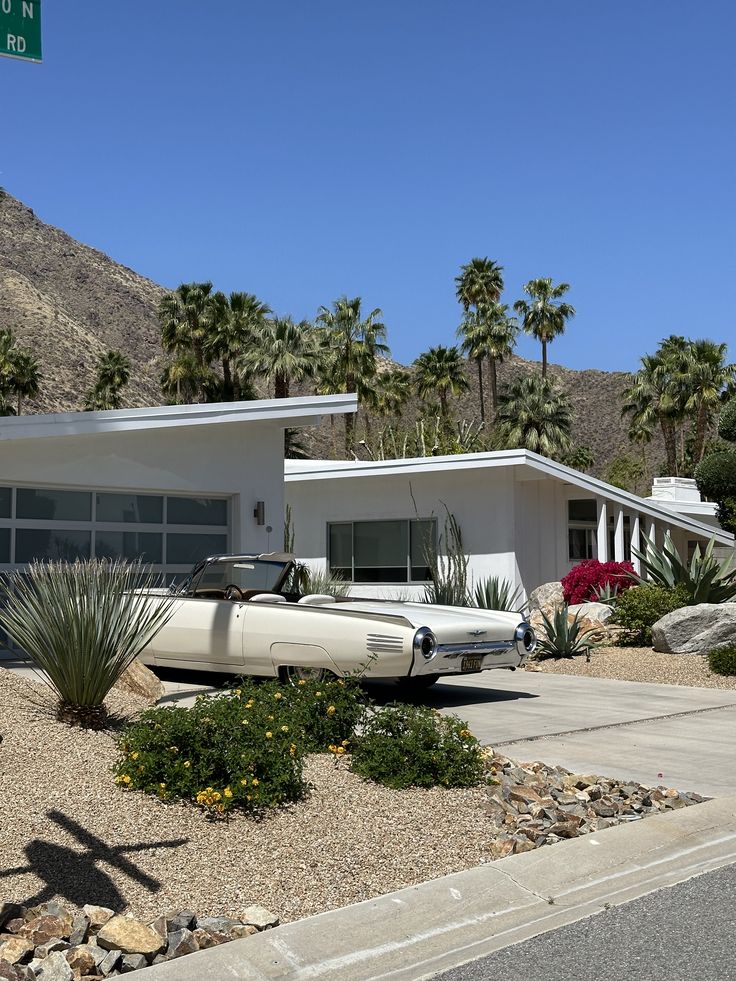 Ivan ⚜️ tweet media