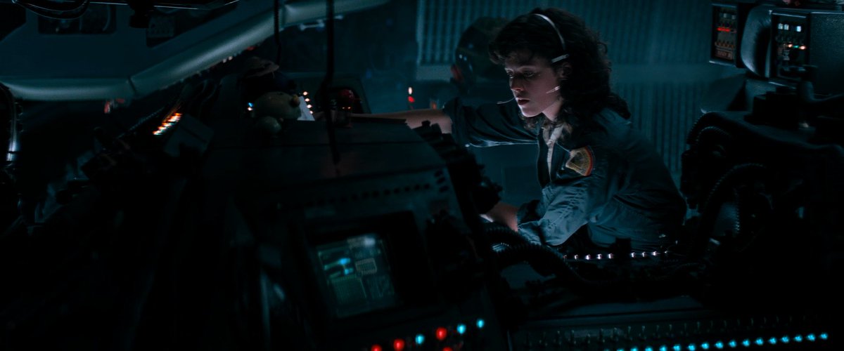 CINEMORPH tweet media