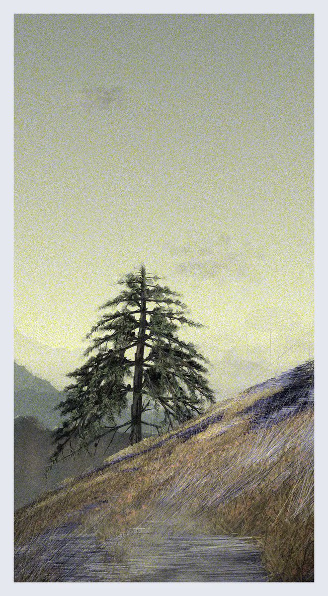 ShillyPreston.tez de la créme 💙💛 🍉 tweet media