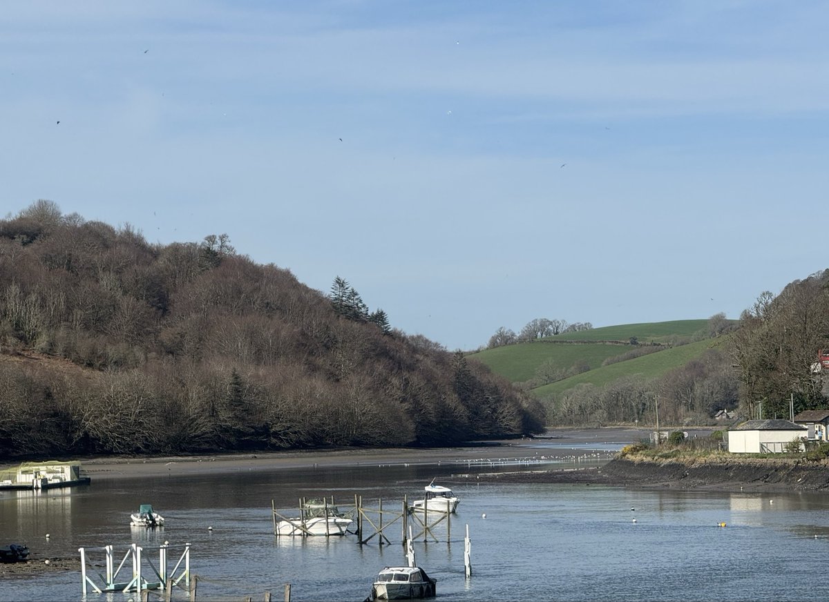 JackiHicks's tweet image. A lovely sunny day for our trip to Looe today to meet friends 🚙😎 #myphotography #nofilterneeded 📷