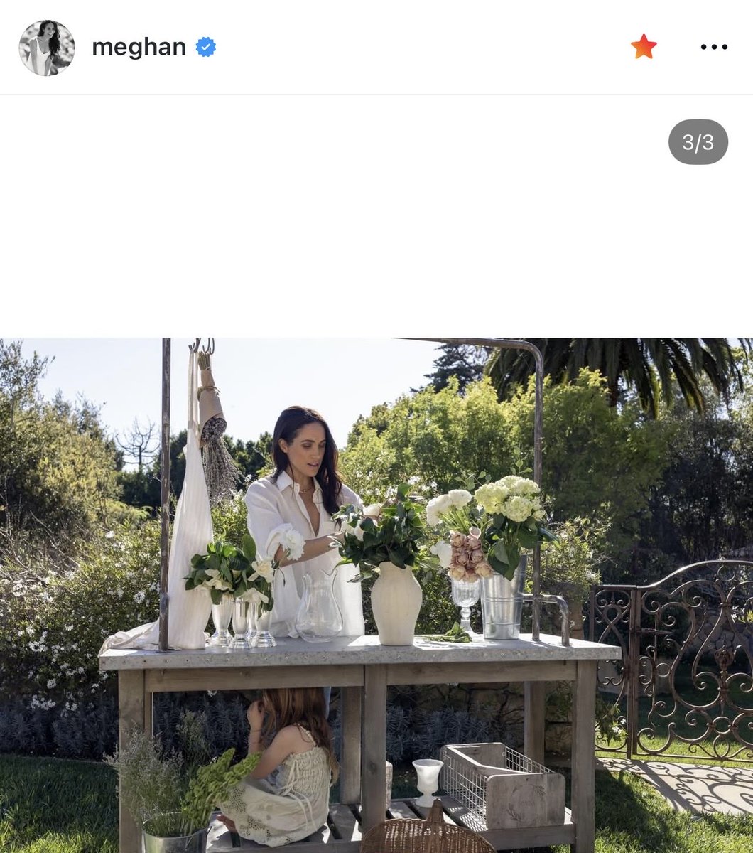 autonomy_6's tweet photo. Meghan and Lili 🪷🪷🪷 https://t.co/nKQHKXthAL