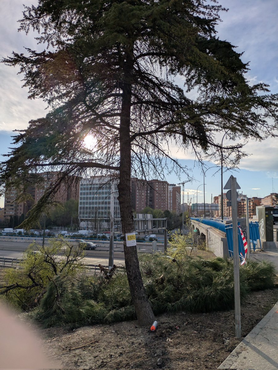 Esteban garpo tweet media