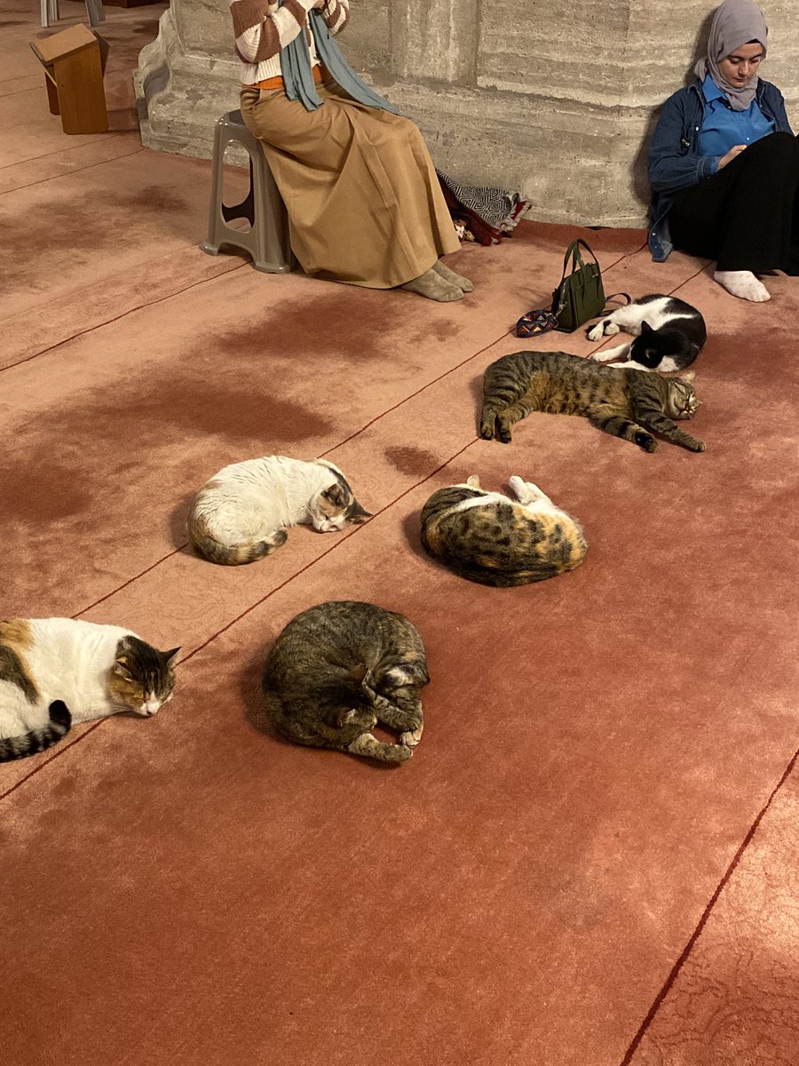Mervedegec's tweet photo. Safları sıklaştıralım 😻 https://t.co/5weIDNc0Ui