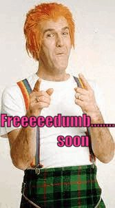 Andy Findus tweet media