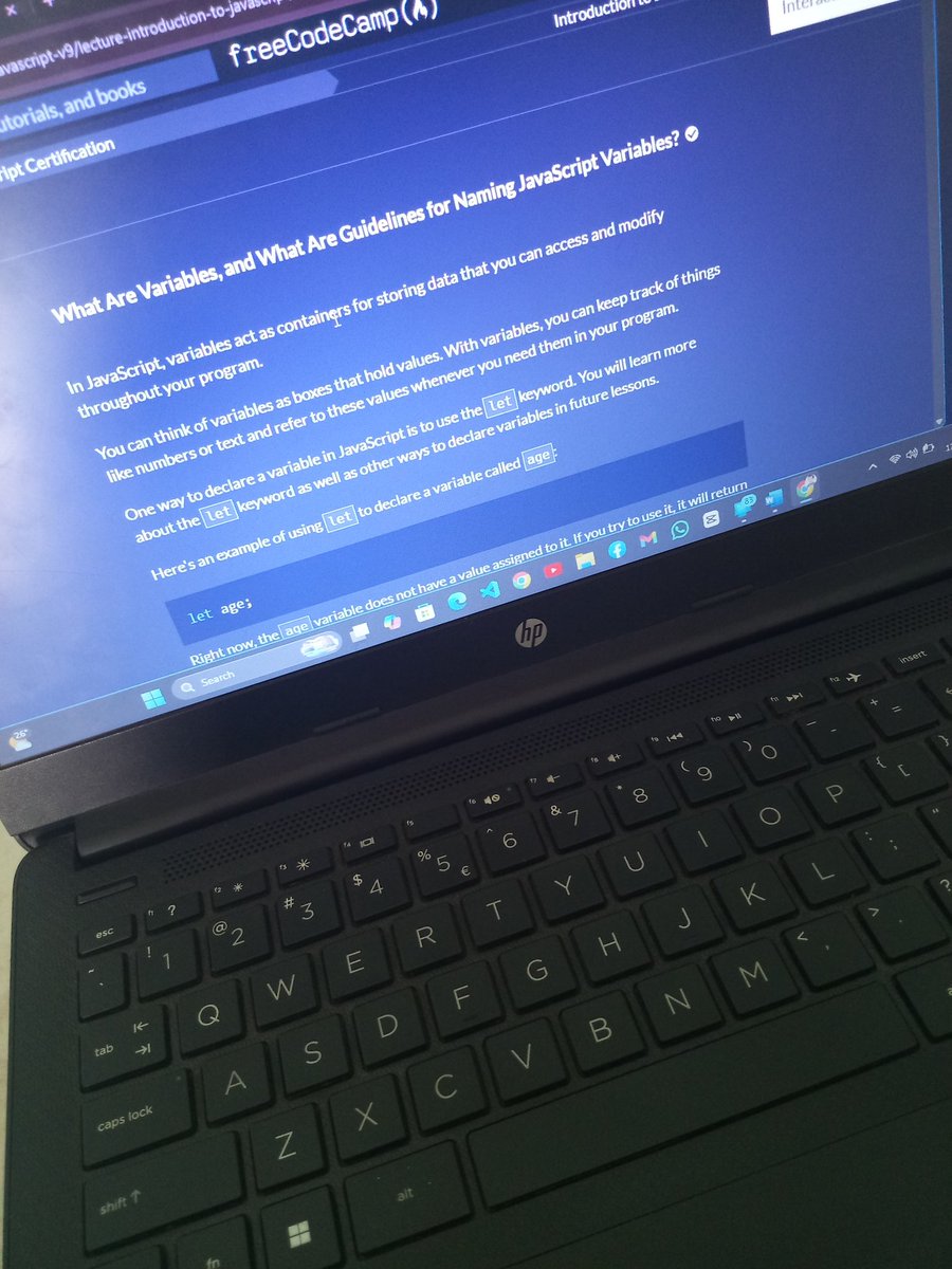 SteveCode tweet media